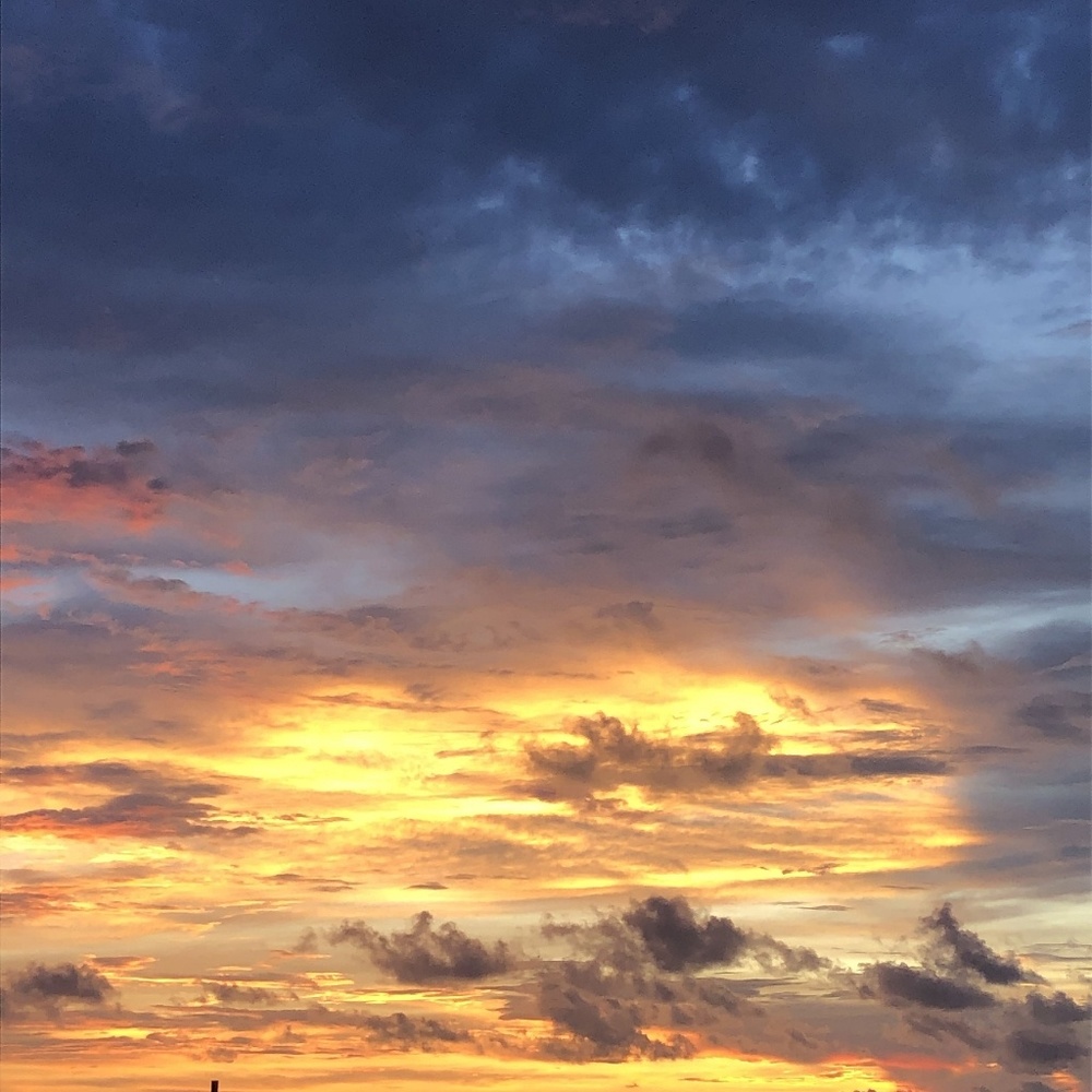 Meet your Posher, Kevin